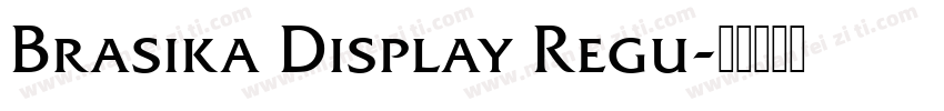 Brasika Display Regu字体转换